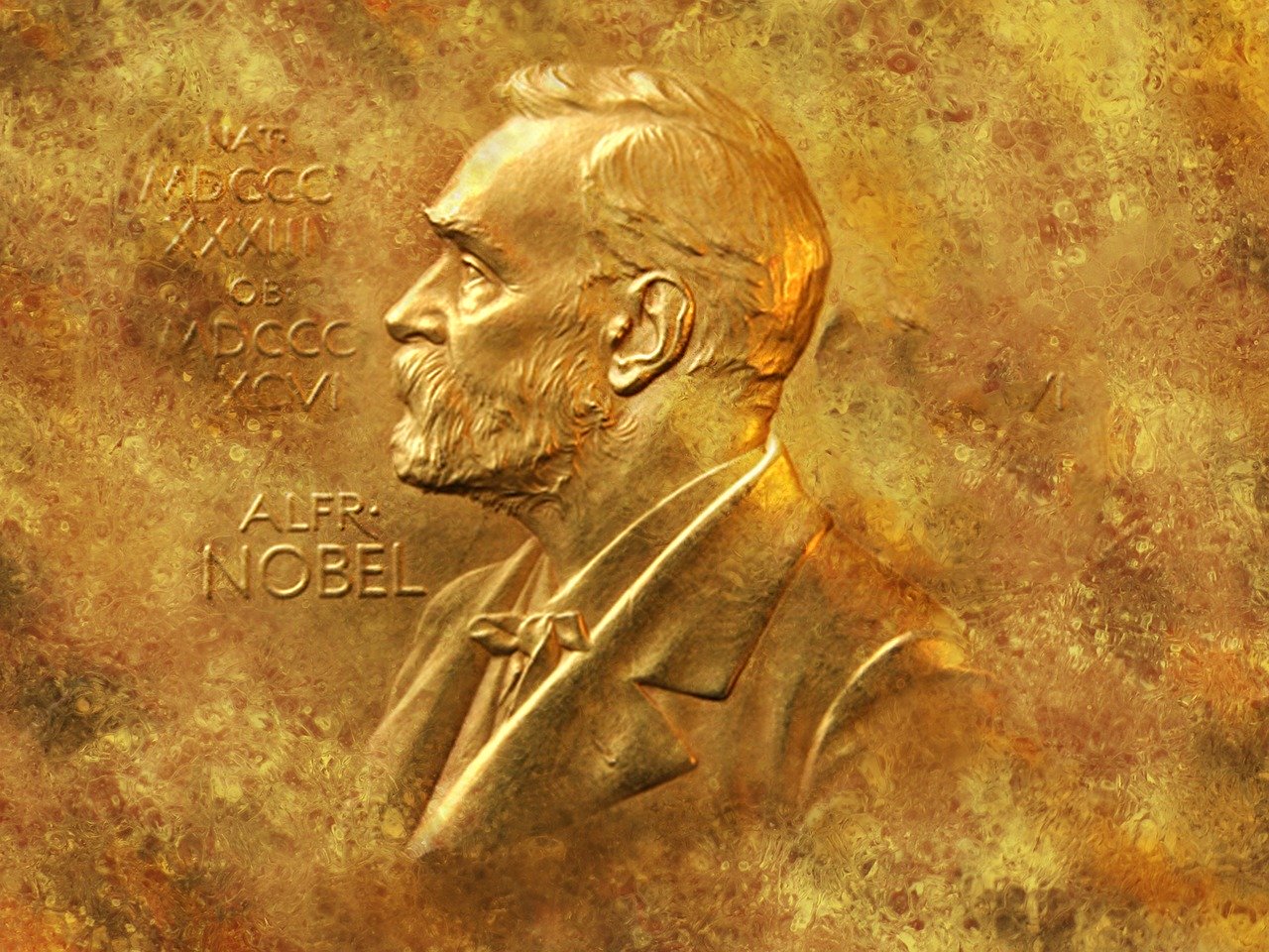 Nobel Economics Prize 2024 Velma Valentia