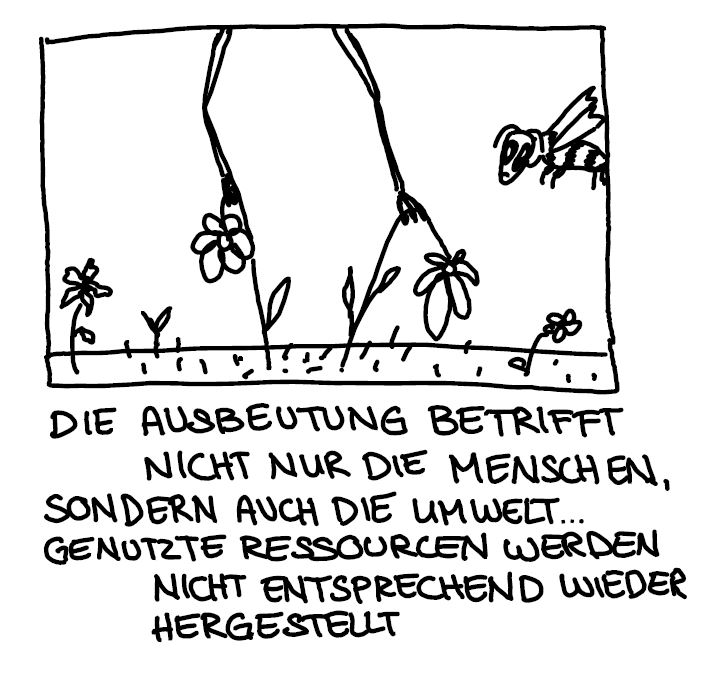 Bild 25