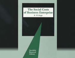 The Social Costs of Business Enterprise