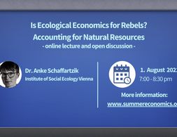 Is ecological economics for rebels? Accounting for natural resources