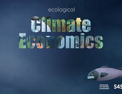 Clips on Climate: Ecological Economics