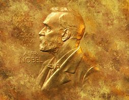 Nobel memorial prize in economic sciences - A critical overview