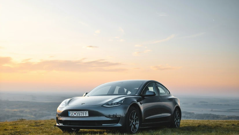 Does Green Capitalism Have a Future?